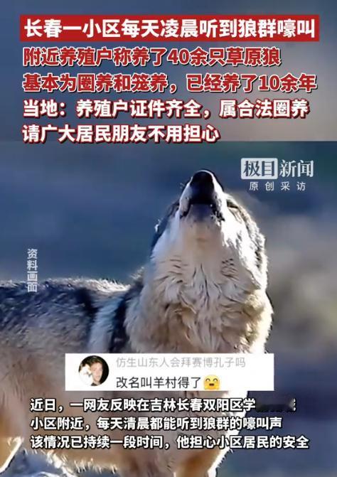 “太缺德了！”近日，吉林长春，一男子搬进新房后，每天凌晨都会听到狼叫声，他怀疑小