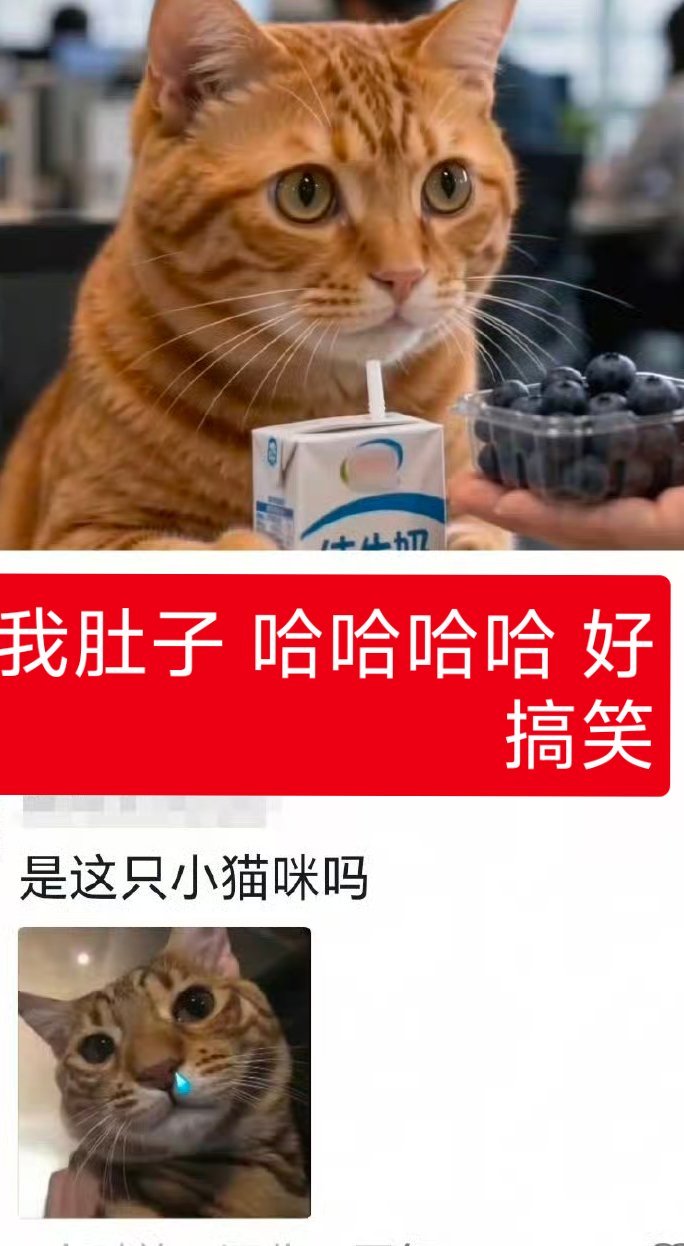 哈哈哈哈