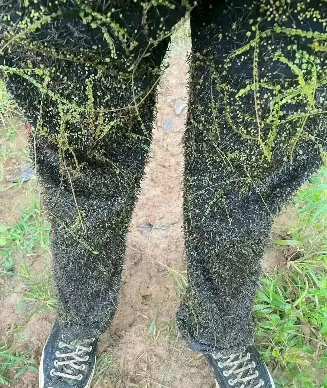 这裤子还能要吗