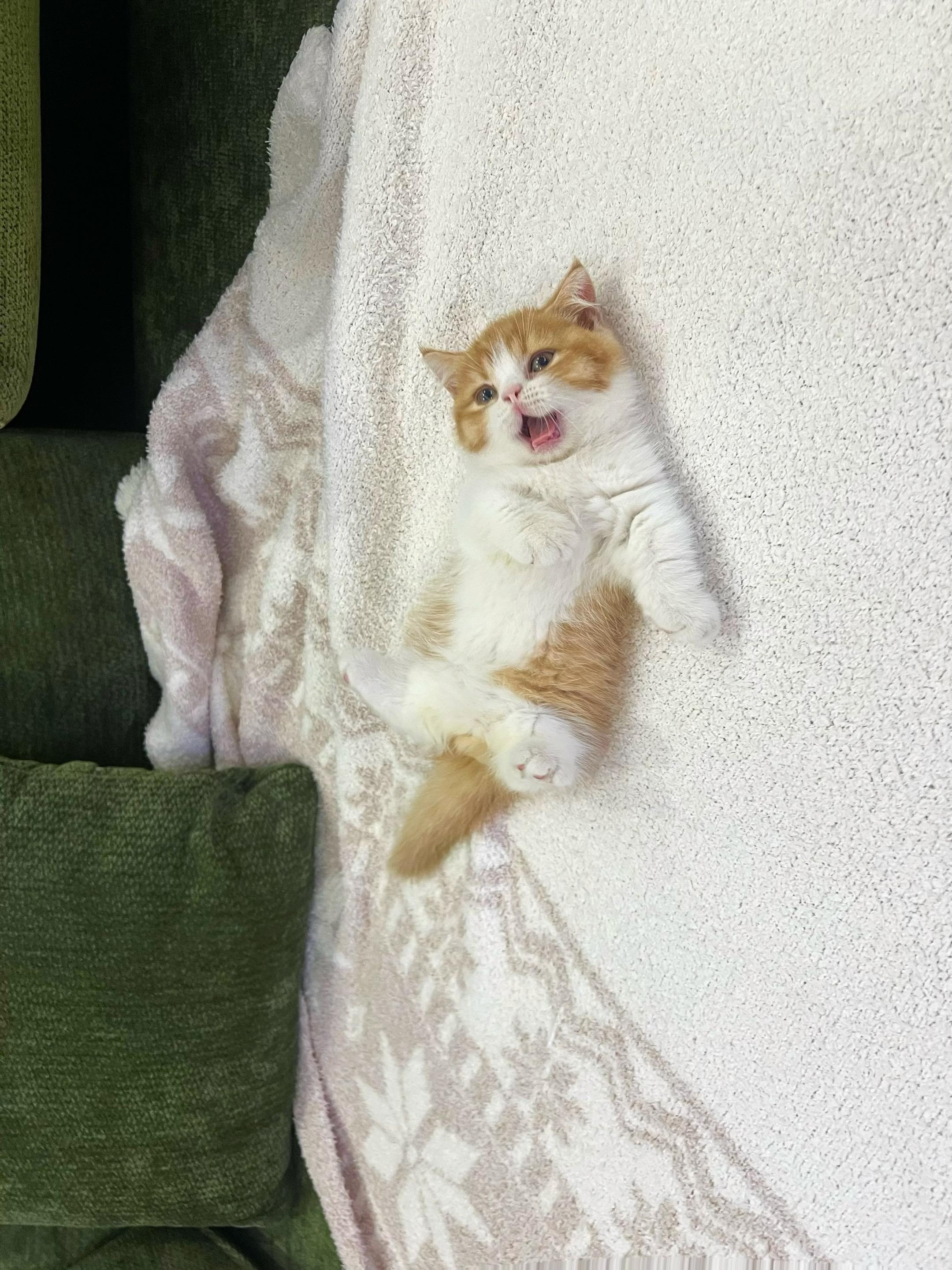 小鼻嘎松弛住了～