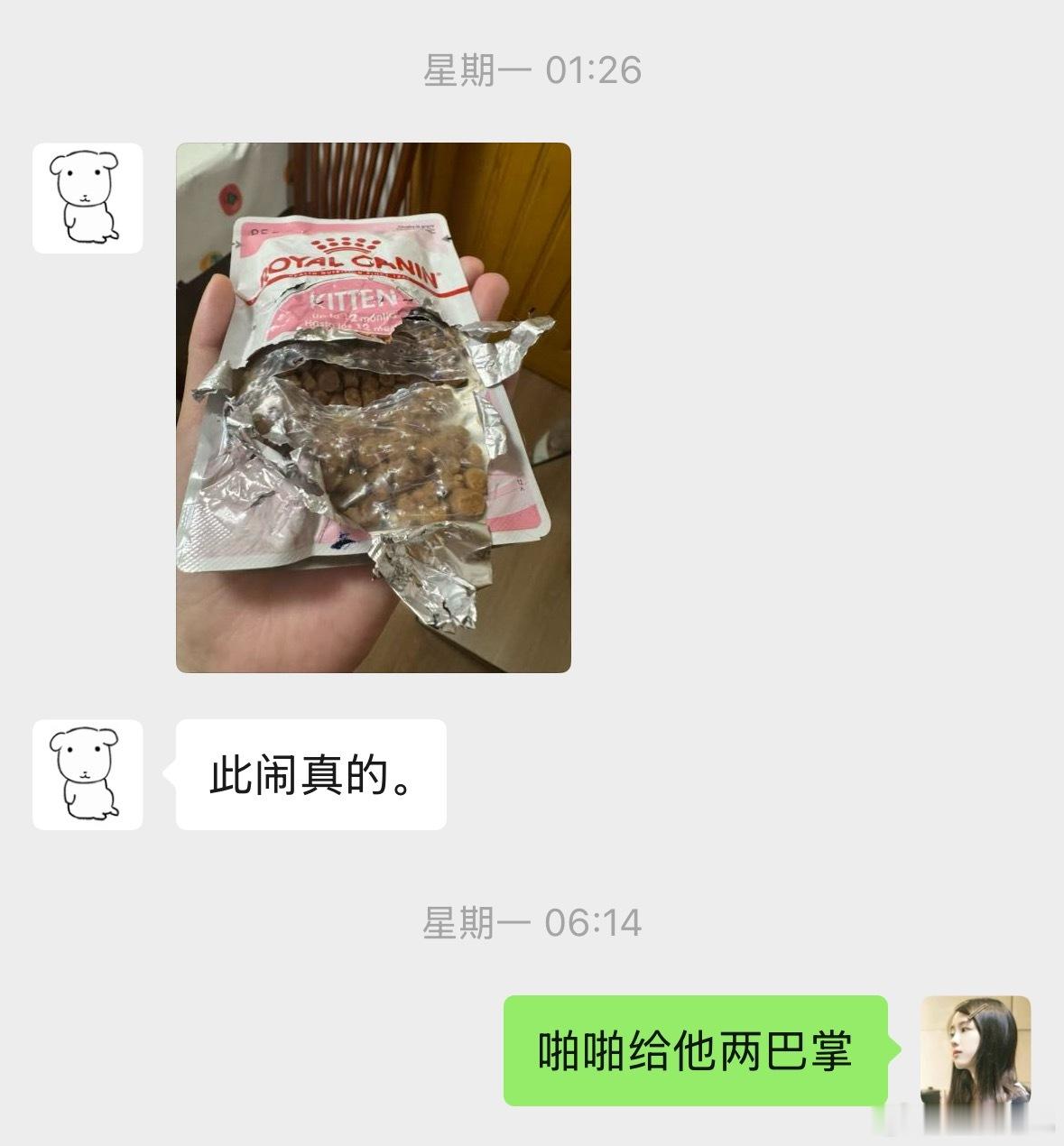 我们平时喂小猫冻干、零食都特别克制，结果这几天家咪变得特别精，每天都会跳上自己的