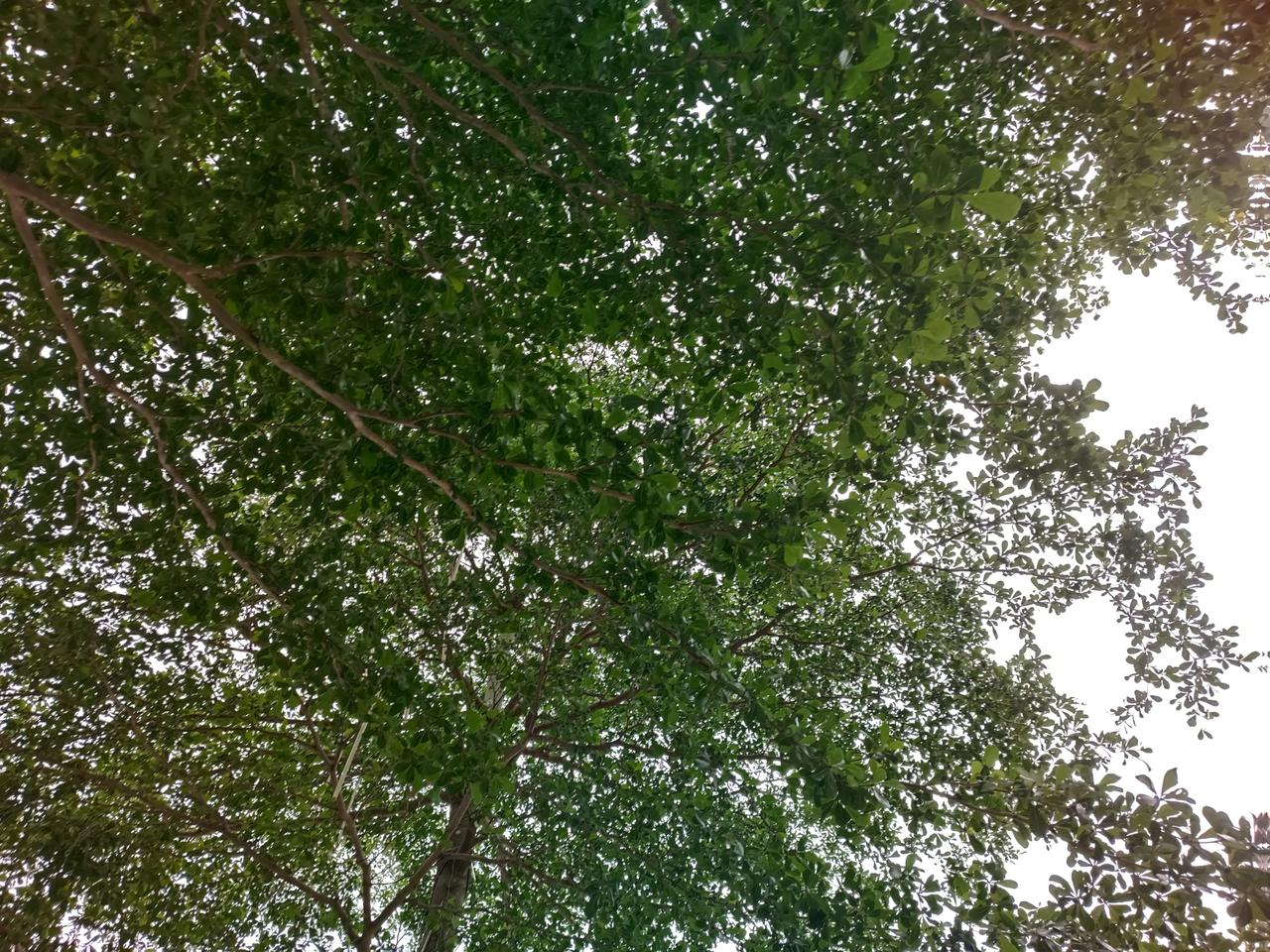 随手一拍都很美
绿水青山
大自然真美
