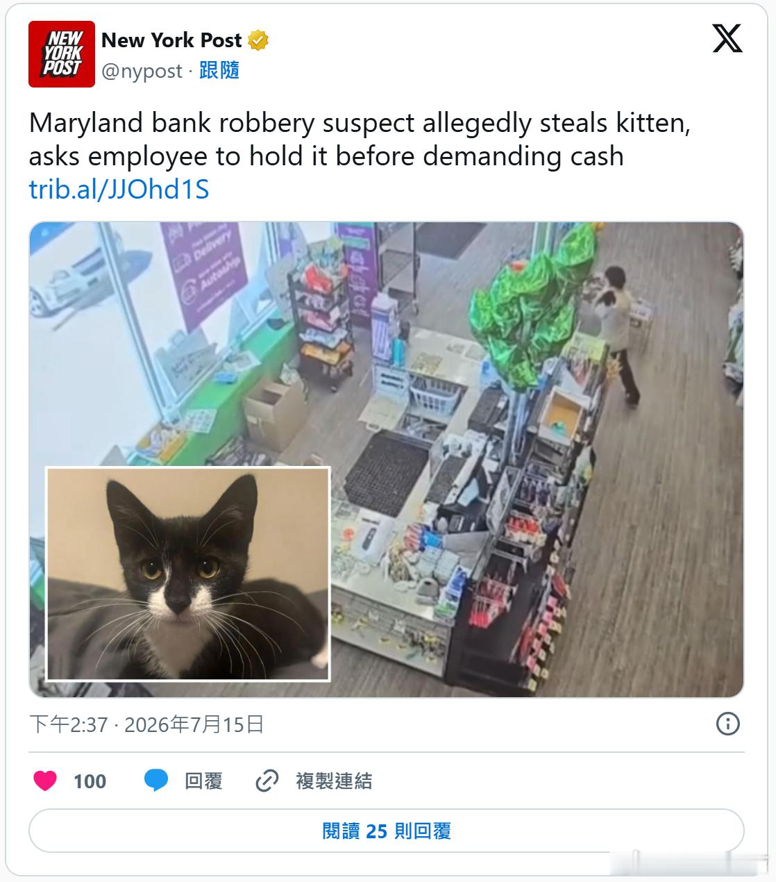 美国男子偷猫后转身抢银行 行抢前竟让银行员工“帮忙照看”海外新鲜事 美国马里兰州