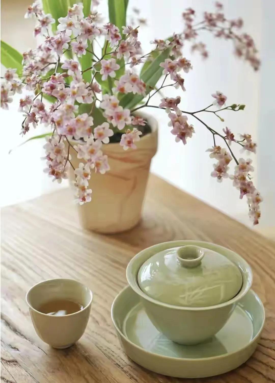 站在季节的门扉前，看春花绚烂地绽放，细雨轻柔如酥。寒冬已然远去，春意正浓。希望的