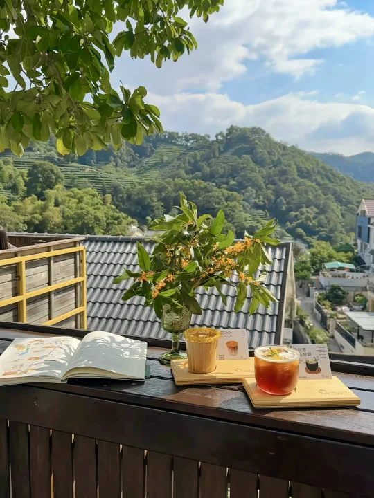 满觉陇赏桂必去！茶园山景咖啡☕️（附路线图）