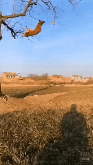 坚持尝试终获成功