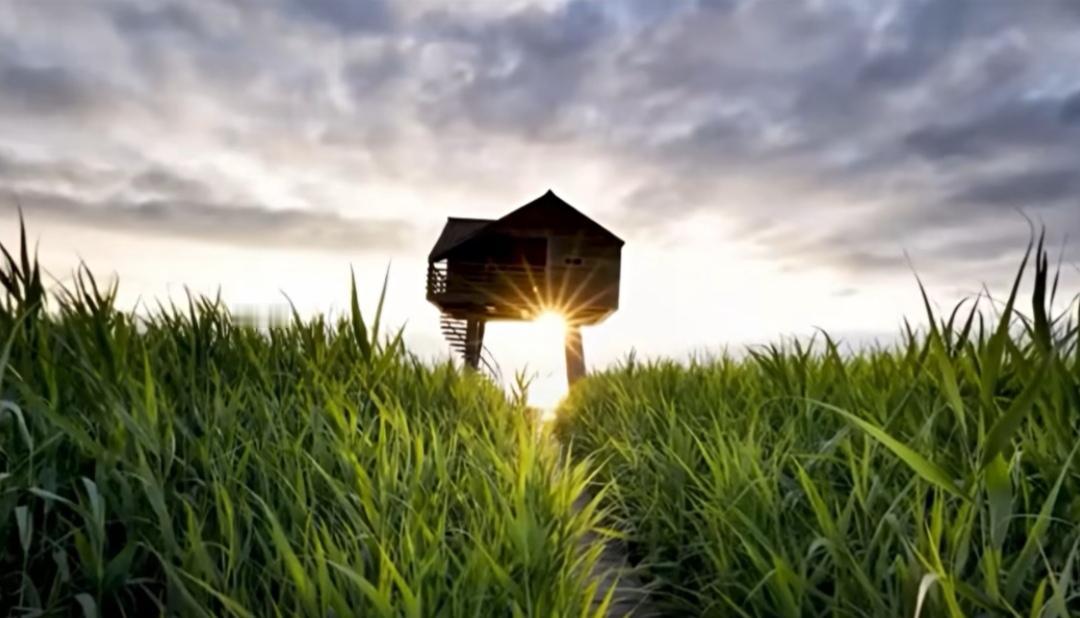 分享一张自然风景的照片