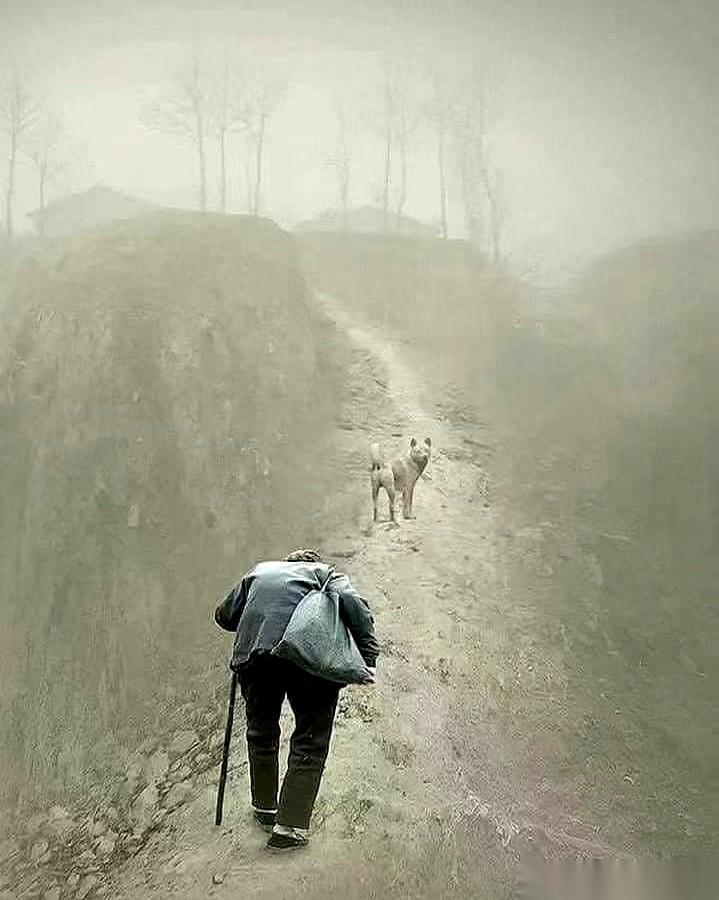 上午签的协议，六千块。
下午铲车就把院子给推平了。
二百多年，几代人的窝，一顿饭