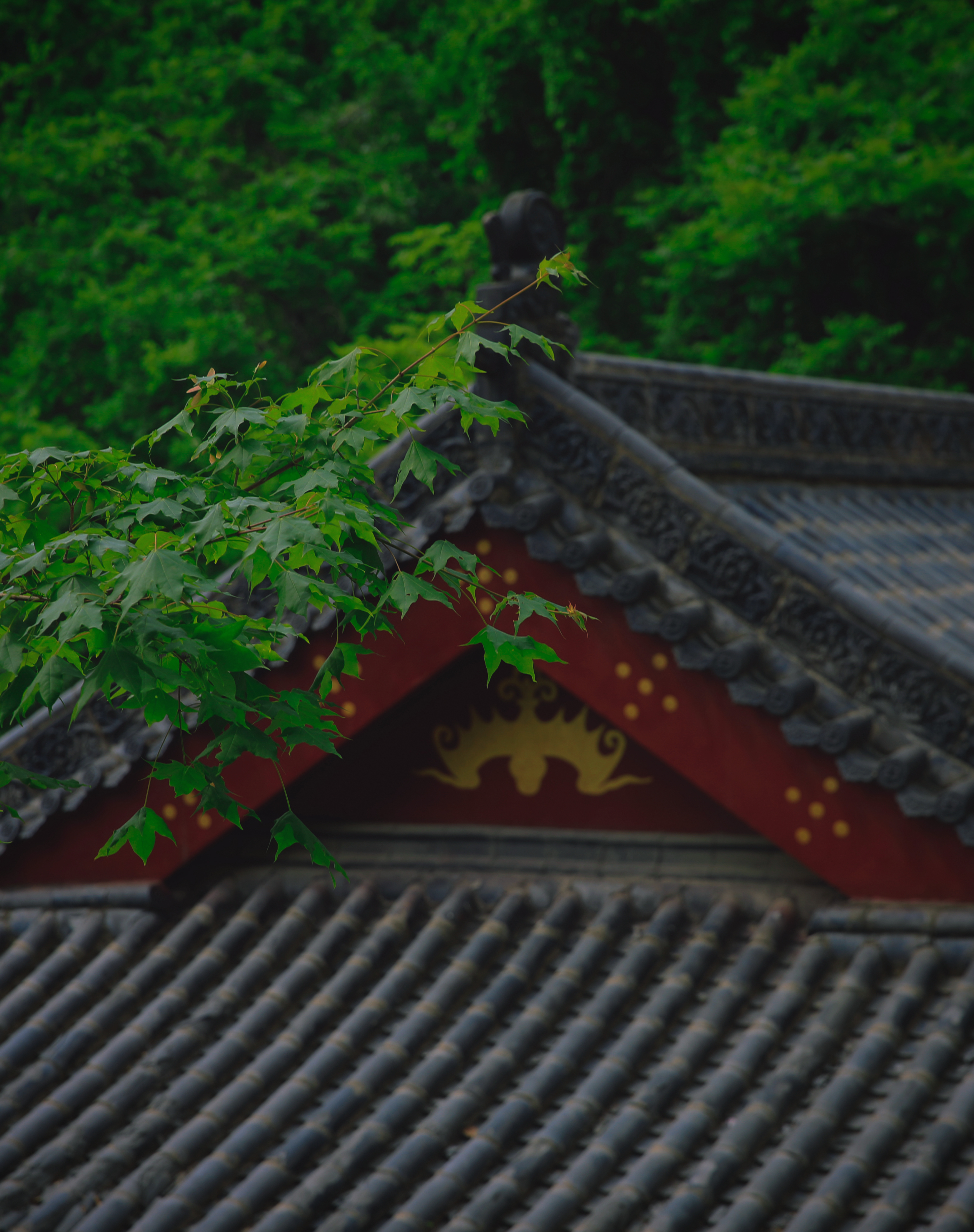 端午安康辽宁铁刹山祈福赏景两相宜 承袭端午登高祈福的民俗习惯，寻一处清幽之地就来