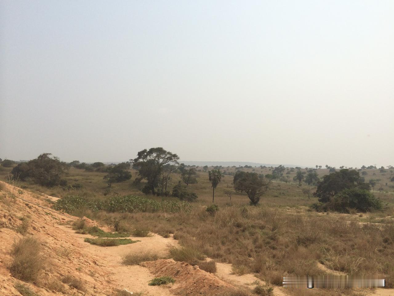 #非洲人民生活困苦是因为土地贫瘠吗#
不是，是懒惰，我们国家有很多土地也很贫瘠，