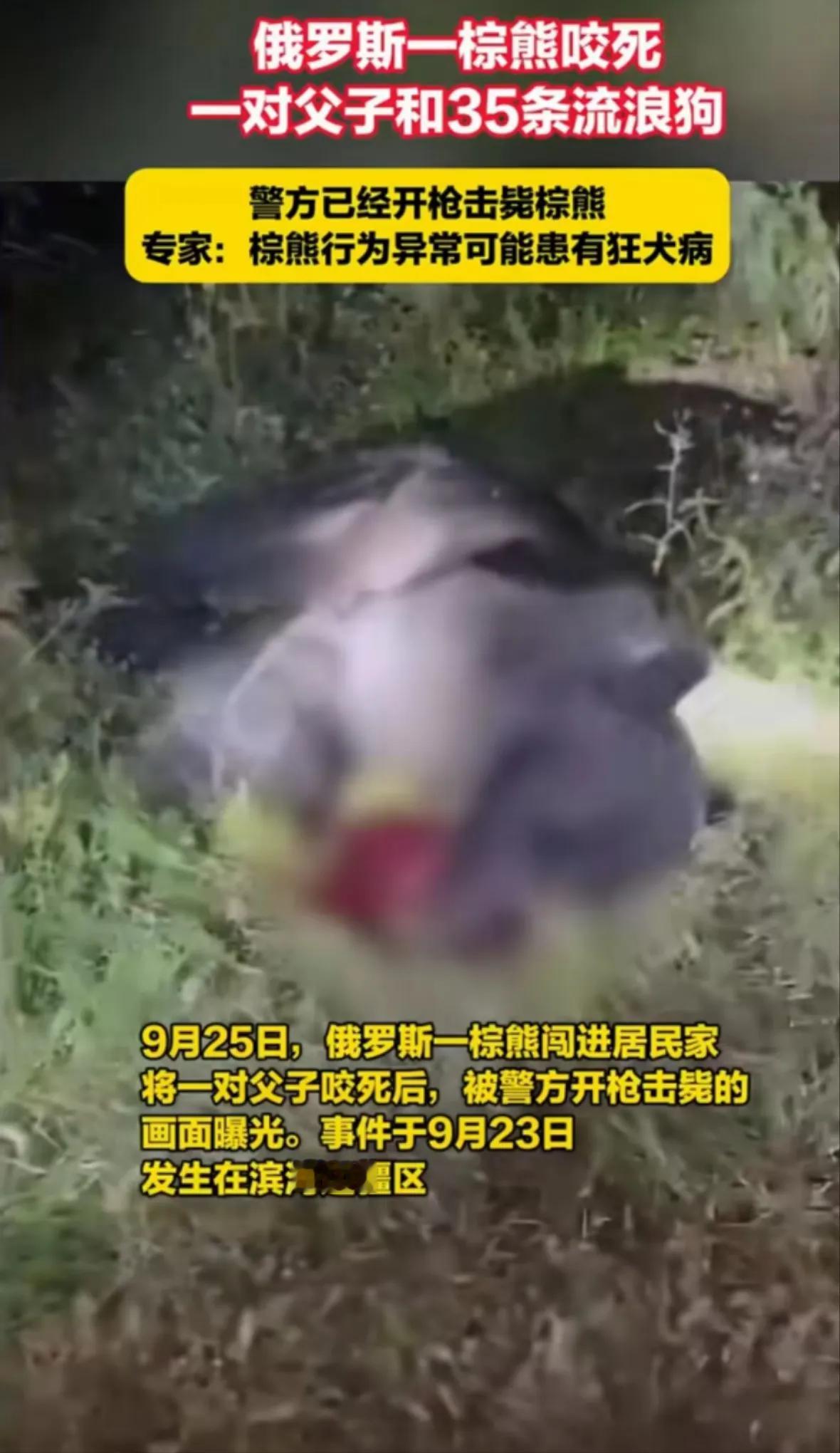 近日，俄罗斯边疆地区一大棕熊发狂闯入一居民区，进入一居民房将父子二人咬死，后警察