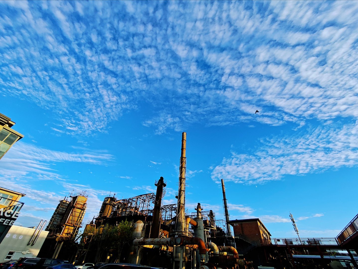 今天天气真不错，如果地平线上升起一发气象卫星就更好了 ​​​