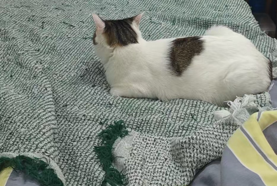 带娃带久了，蛋妞想独自静一静。