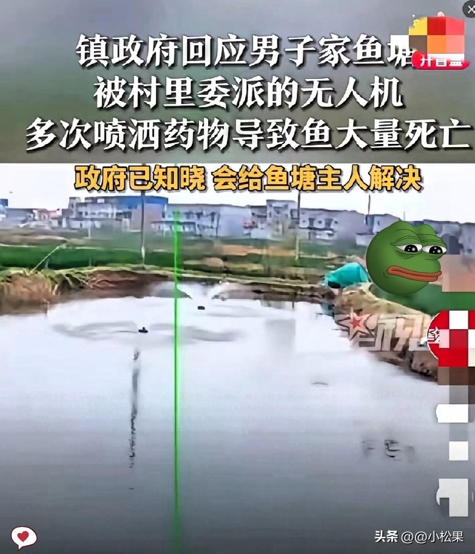 真是越来越离谱了！前有无人机乱喷药毒死蜜蜂，现在居然直接往鱼塘里喷，一塘鱼全翻白