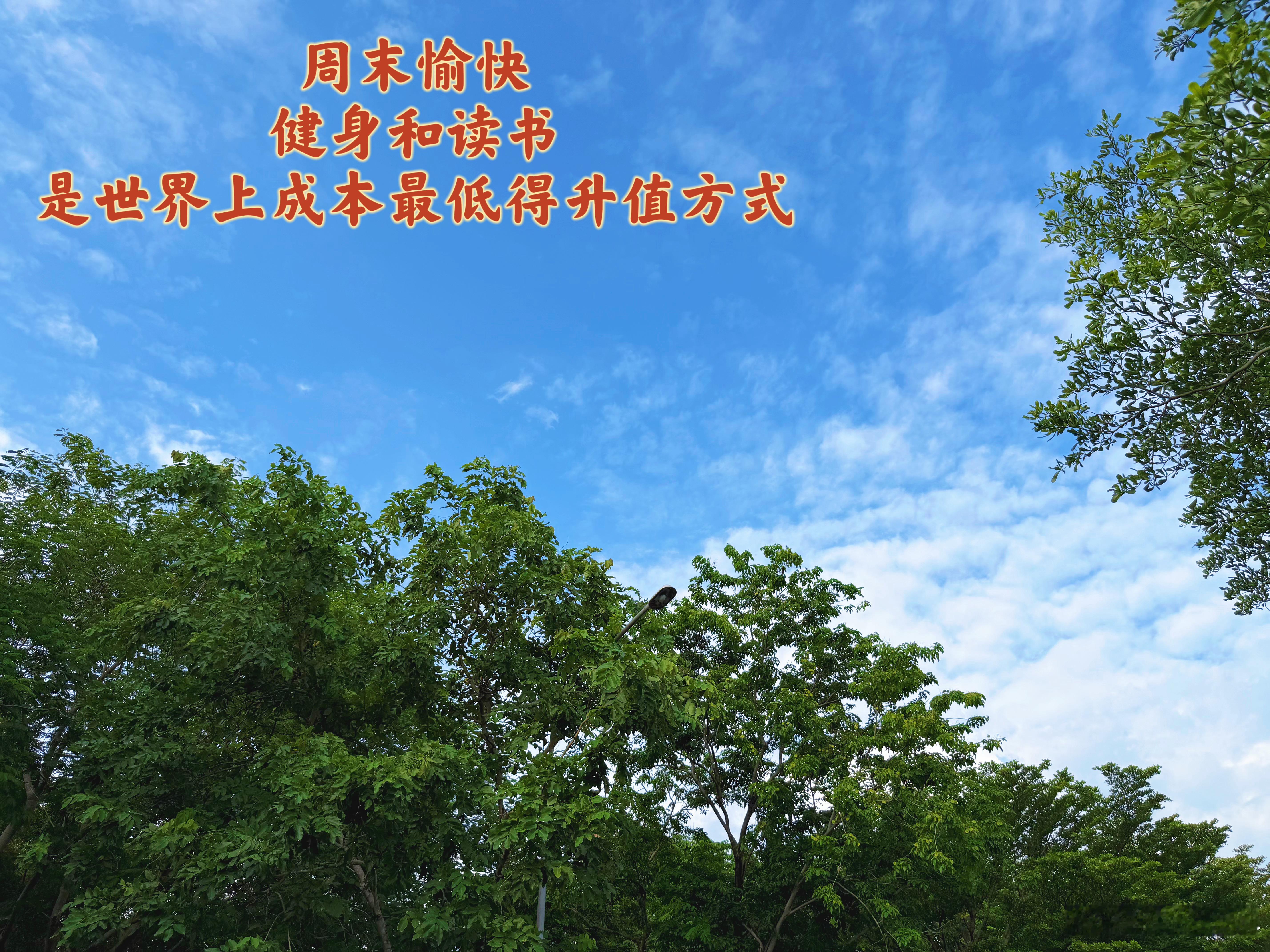周末愉快！健身和读书，是世界上成本最低得升值方式。 泰国·九世王御园