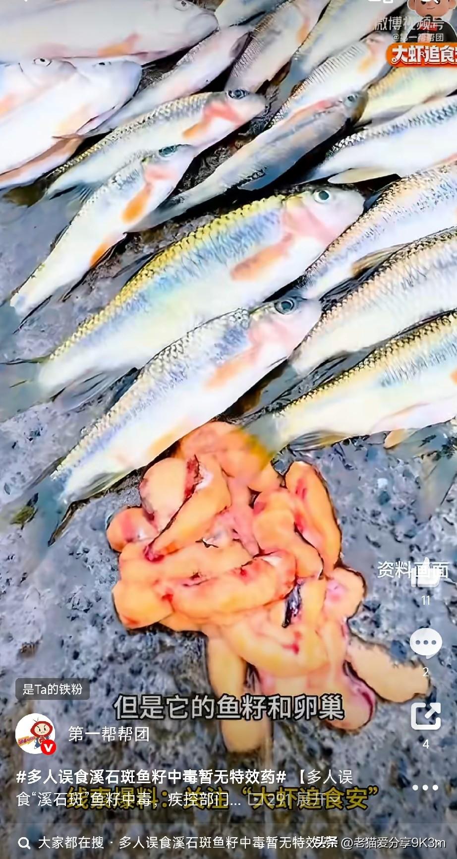 提醒爱吃鱼的朋友

最近两广、浙江多地接连有人中招，就因为吃了溪石斑的鱼籽，上吐