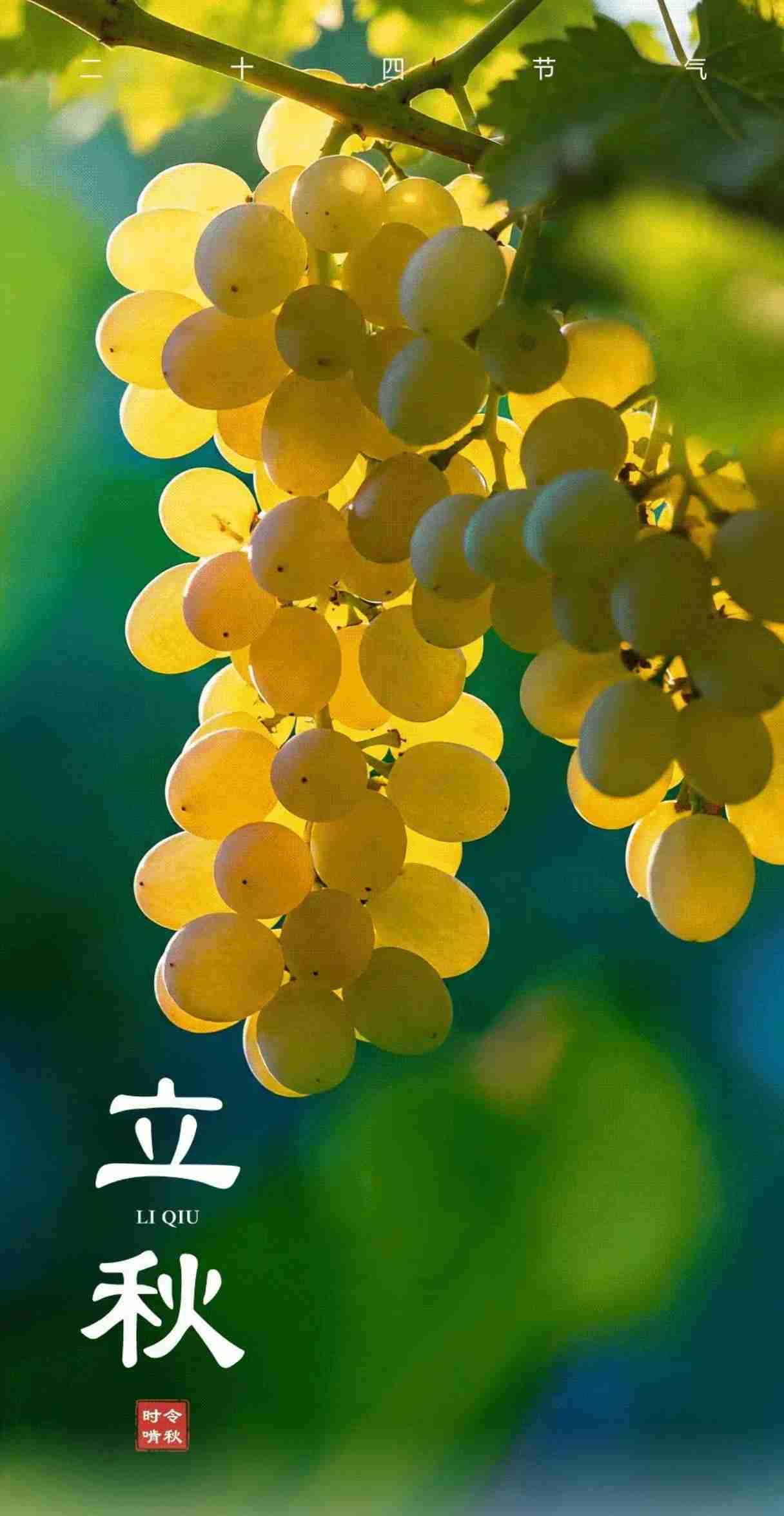 我的今日状态：💪🏻充满干劲
我这里的天气：🌤️多云

今日立秋。立秋，"立