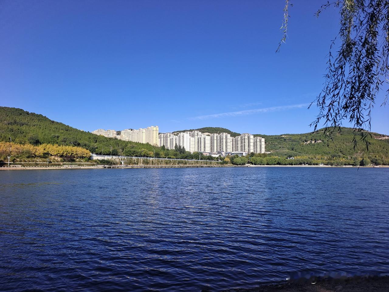 凤凰湖畔走一走

碧水青山入眼眸

垂柳微风伴左右

秋景宜人乐悠悠

湖畔漫步