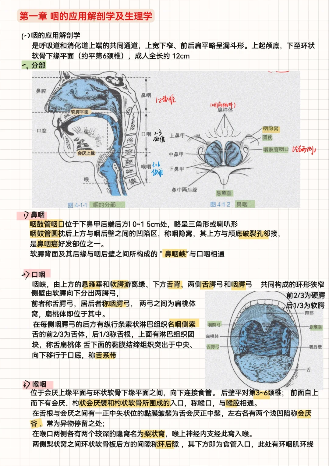 耳鼻喉颈外科（12）-咽部分