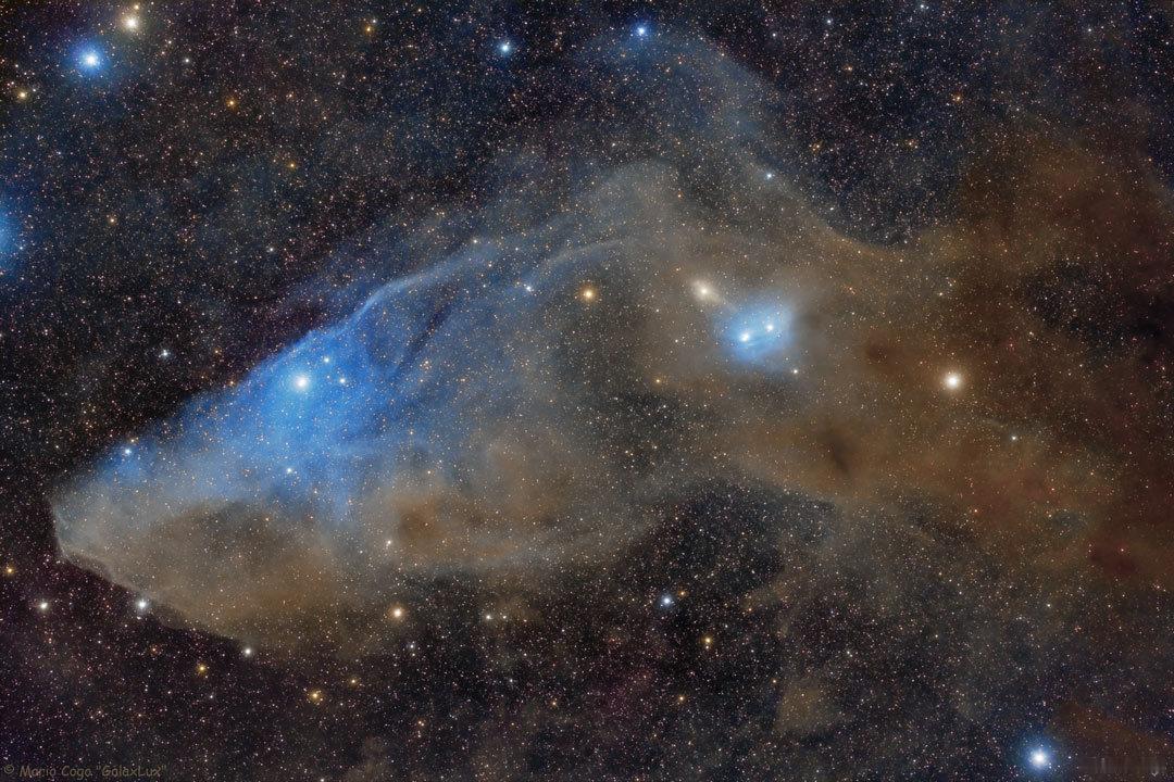#每天一天文图# 蓝马头反射星云 ​​​