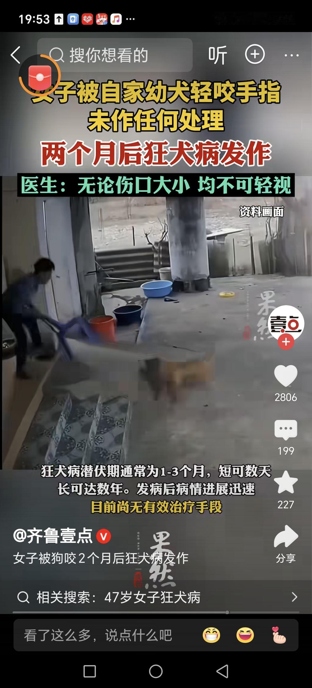在这个快节奏的社会中，我们总以为“宠物就是家庭成员”，以为只要平时温顺、乖巧，就