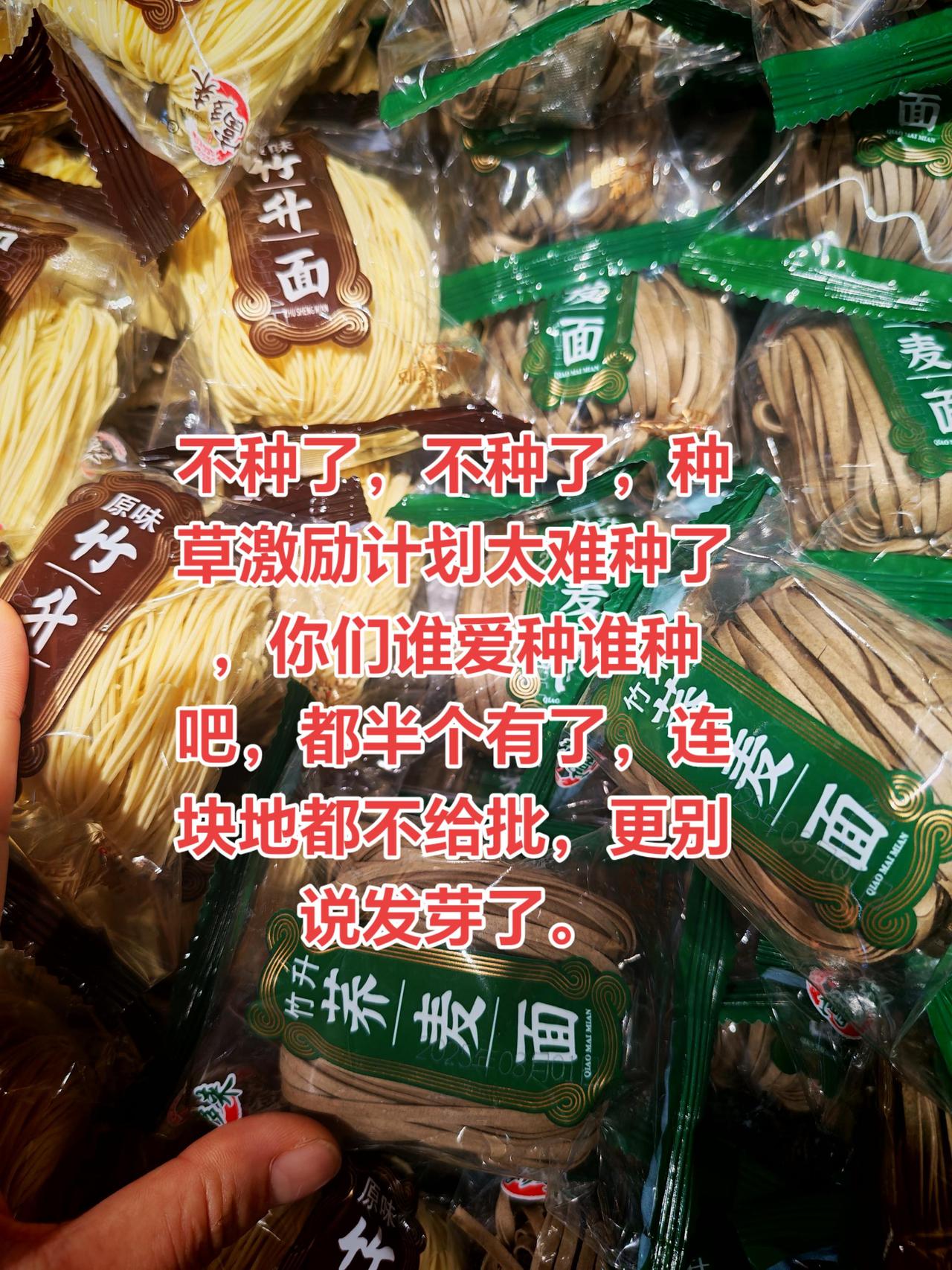 姐妹们，你们种草激励计划怎么开通的，为啥我的就是进不了门呢
