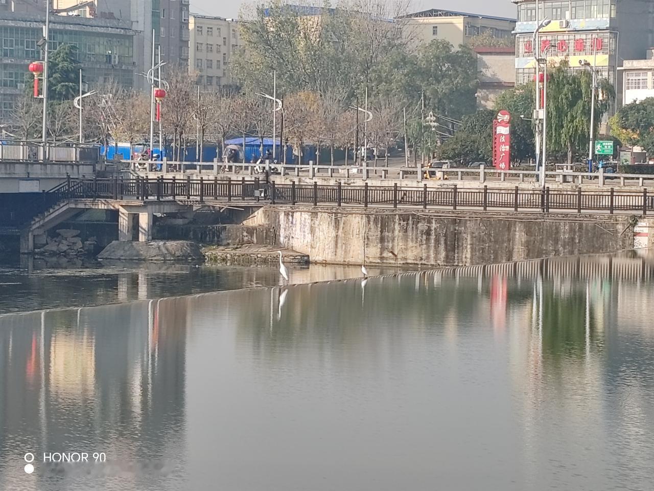 利欲熏心、见利忘义、丧心病狂之徒，是最大的得益者。[祈祷]//@开门大吉:一将功