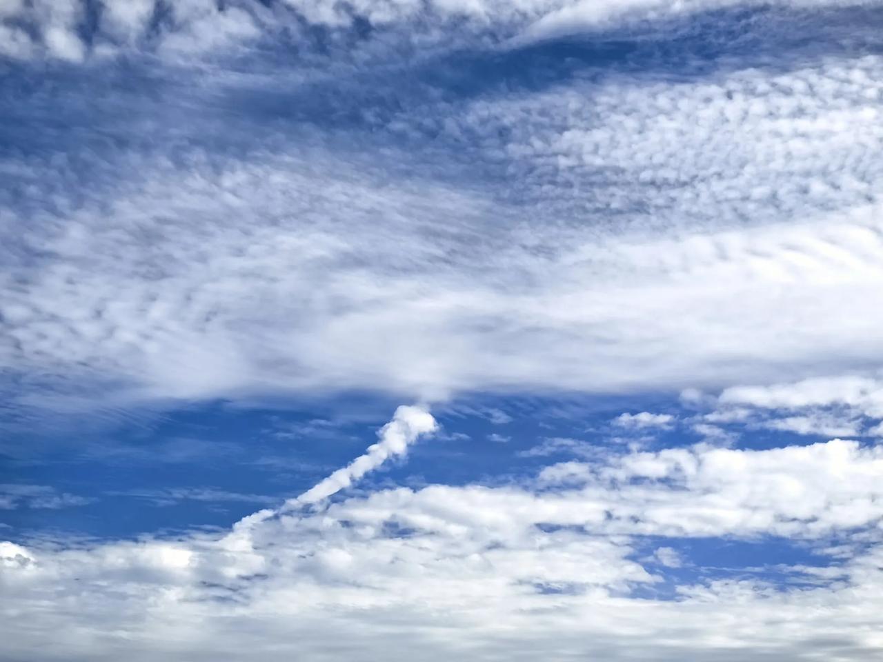 永远不要放弃自己

在生命的长河中，我们都是匆匆过客，宛如夜空中划过的流星，一闪