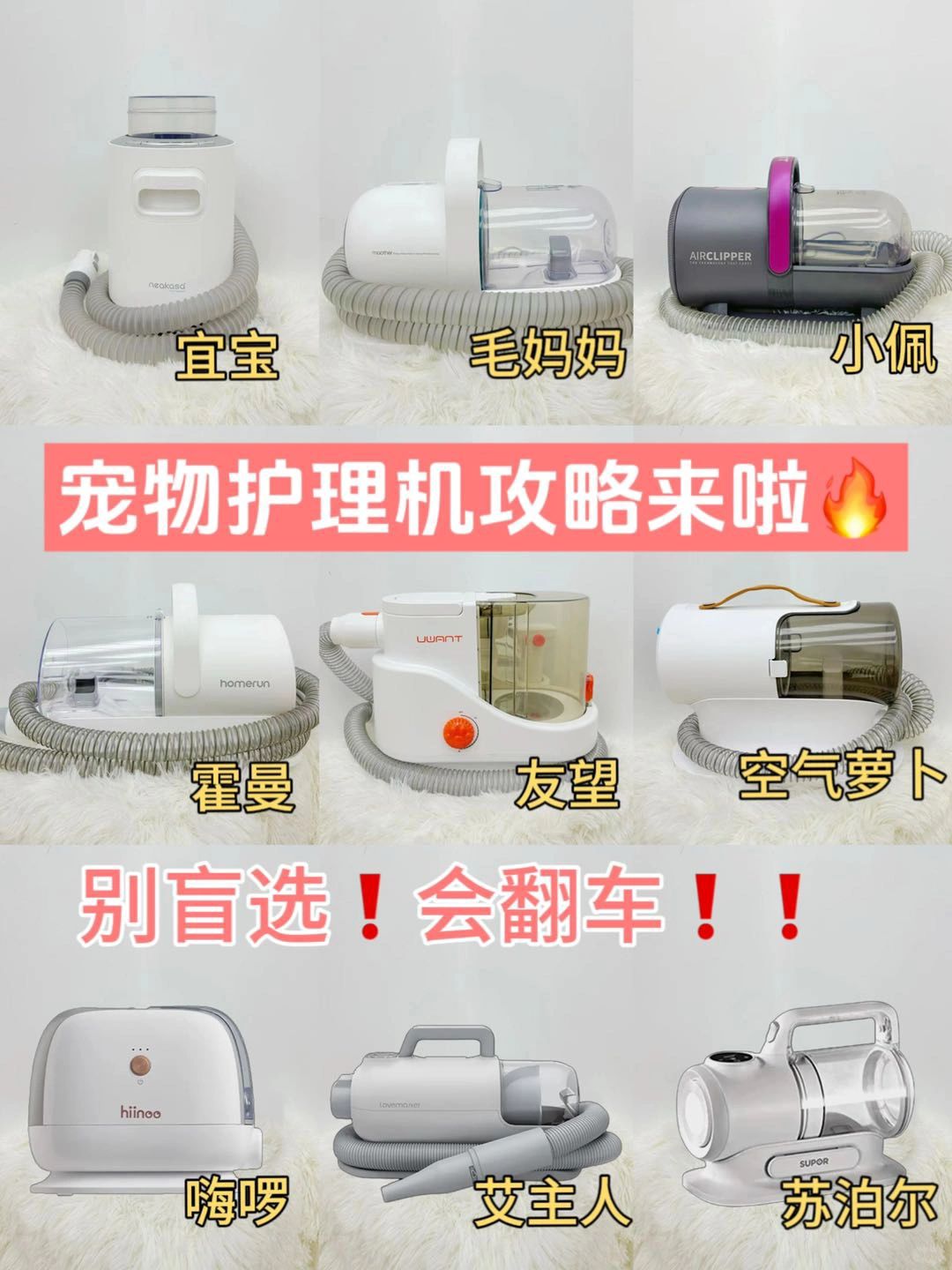 宠物护理机选的好🤩猫咪掉毛没烦恼✌️