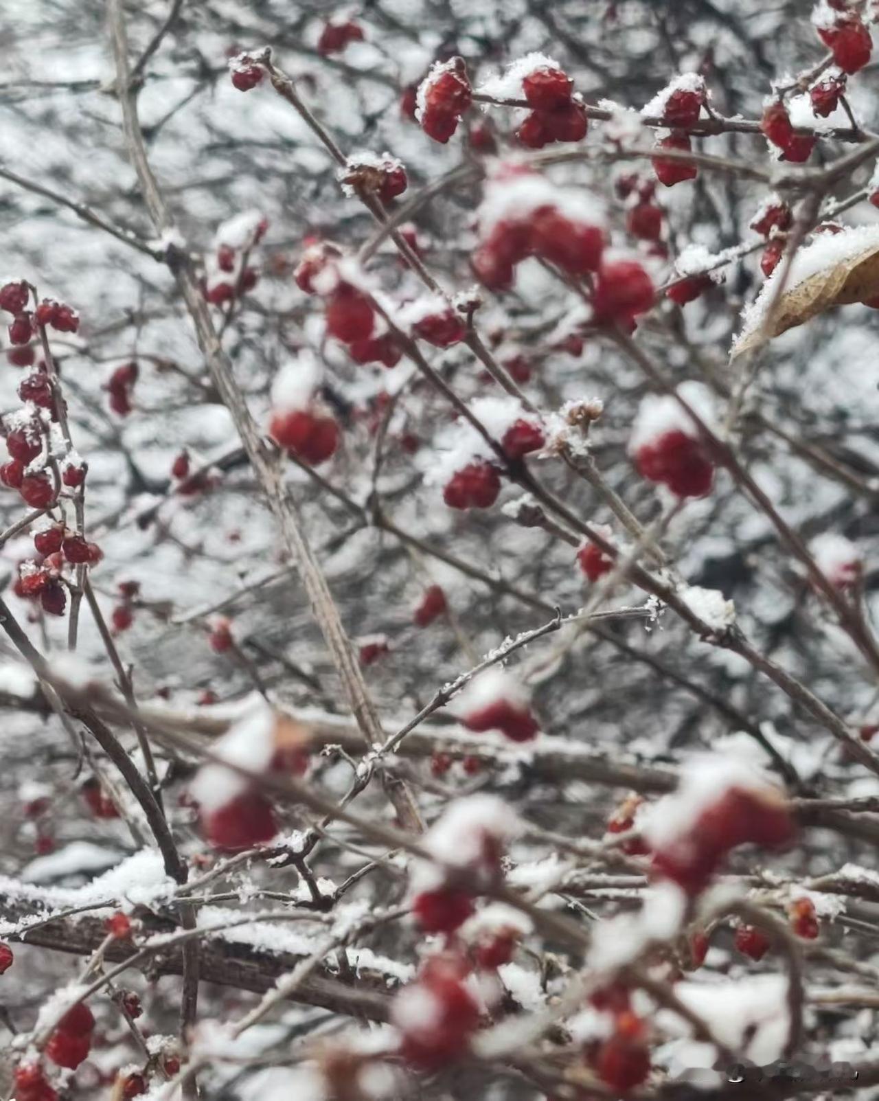 有时候真想抱抱他，
给他一点安慰和力量，
可是我没有权利，
有时候他跟别人的女人