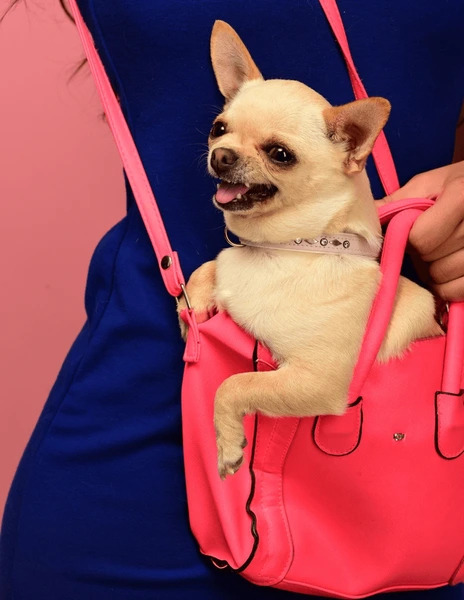 海湾国家目前正在举行在线紧急磋商会议。玻利瓦尔英雄之地伊朗袭击27个美军基地