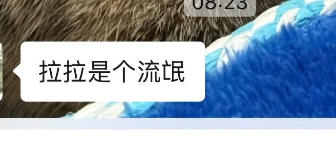 我妈评论：拉拉是个流氓