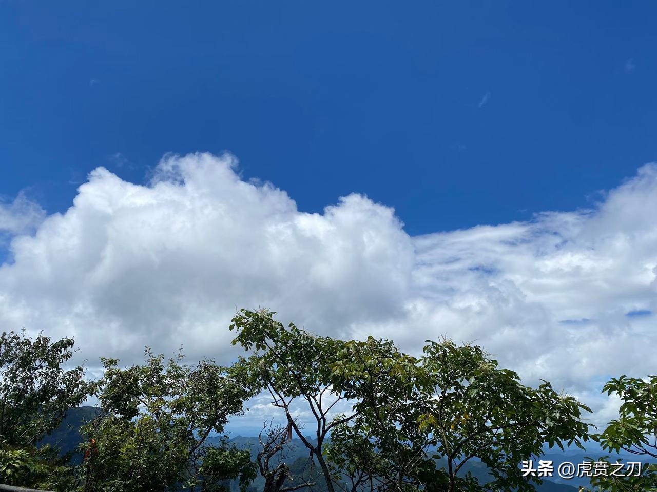头发也白了，胡子也白了，真是岁月不饶人啊。昨天体检做了血糖测试，报告提示存在胰岛