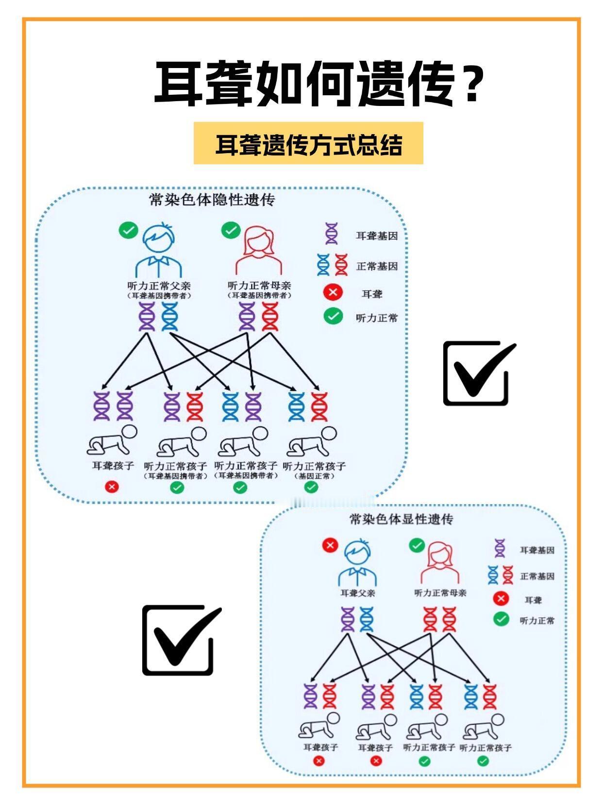 耳聋是如何遗传的，健康父母也会生出听障宝宝？一组图看懂遗传原理夫妻听力正常生两胎