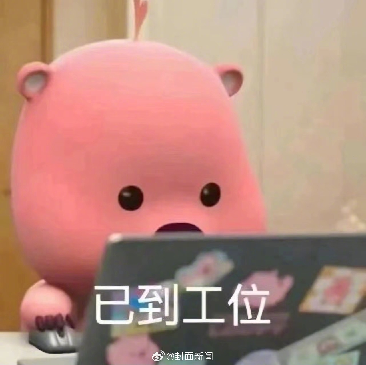 手办风、极简风、技术流、养生派、绿植党.....你的工位长啥样？[开学季][开学