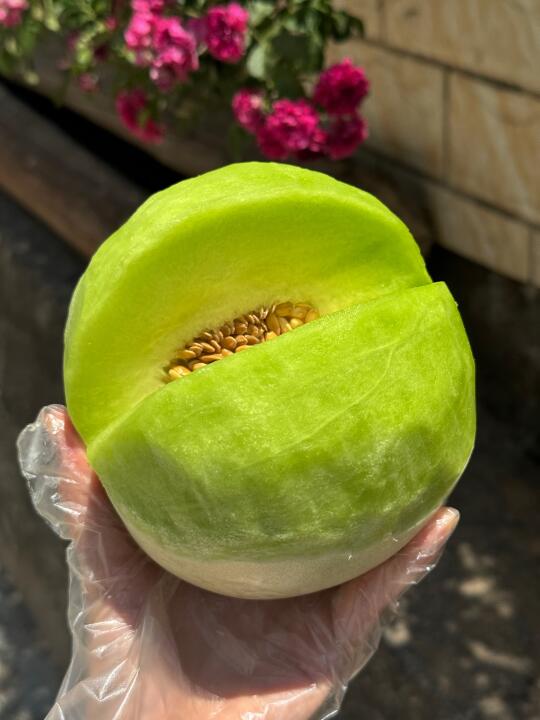 比哈密瓜🍈便宜，比哈密瓜🍈好吃