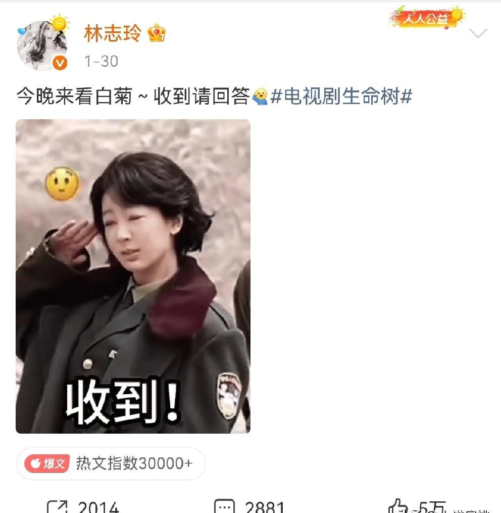 活埋、冒名、爬回权力巅峰，吴谨言这部《墨雨云间》，撕开了所有国产“大女主”剧的遮