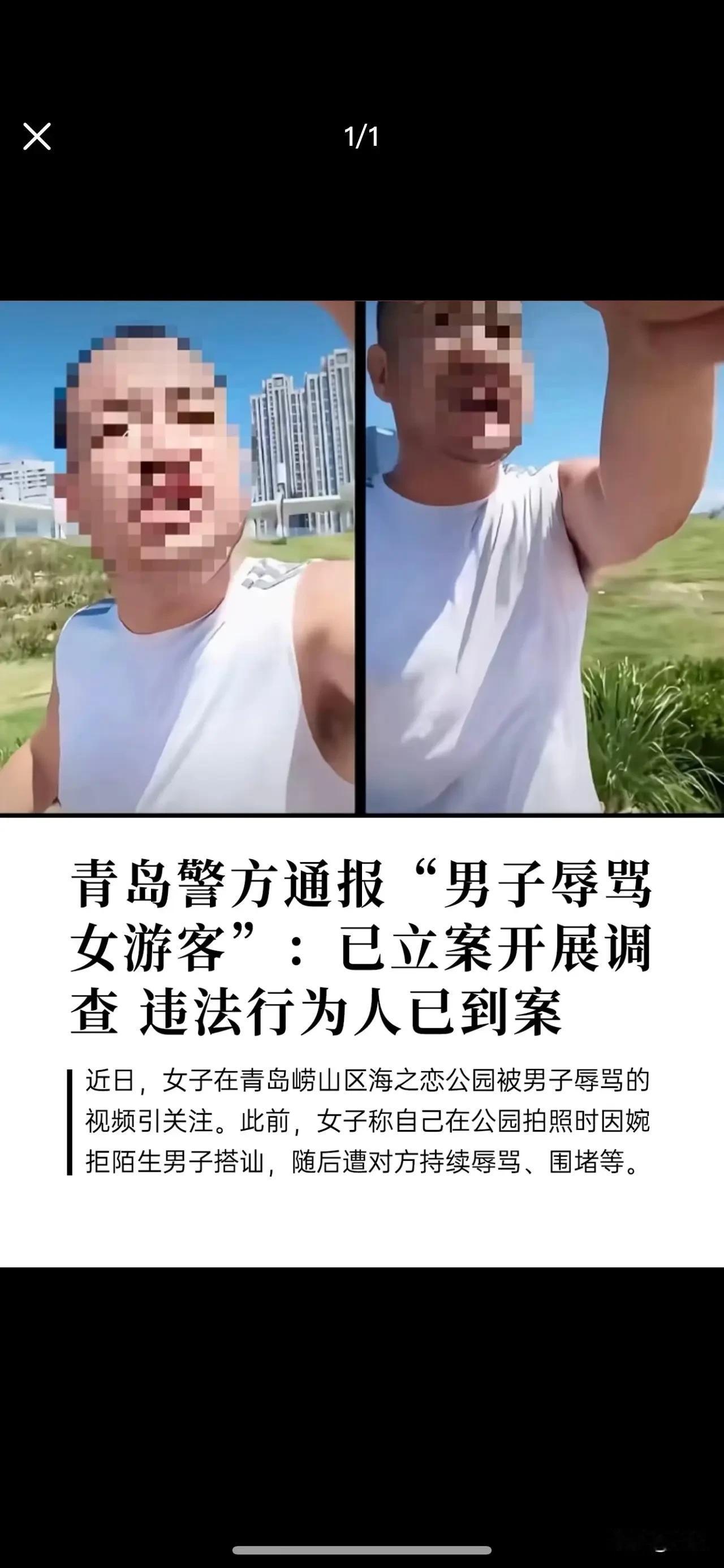 据说这位大兄弟出来道歉了！
说他在这个公园跑了20多年步了，
看到人家姑娘立杆拍