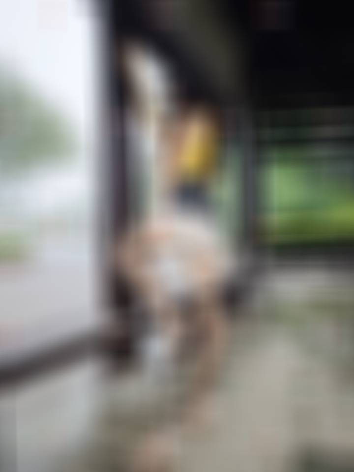 豹纹哦～ 