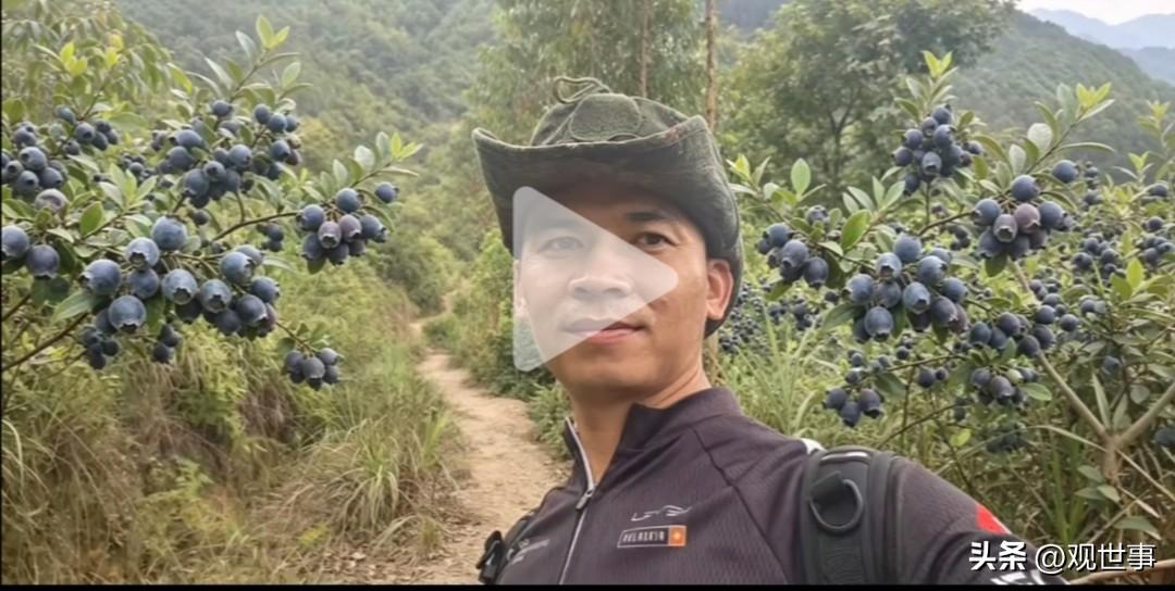 早熟的稔子