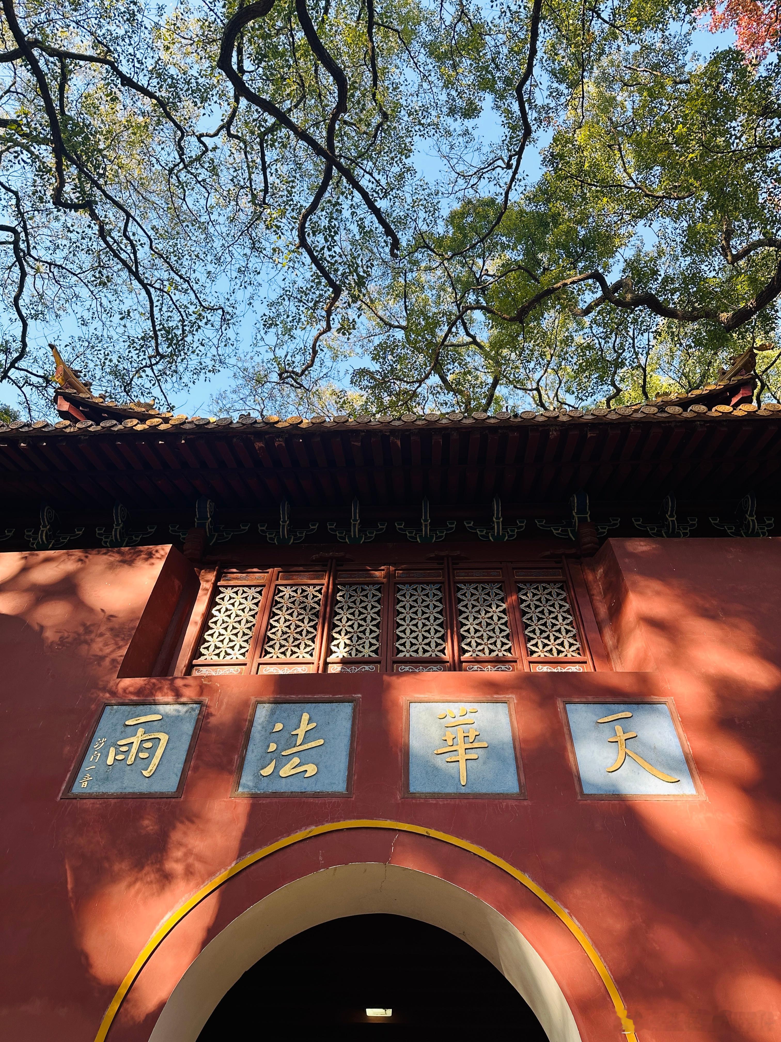 见天地见众生见自己来了就好 越来越好 当下悟道即菩提🪷 舟山·普陀山风景名胜区