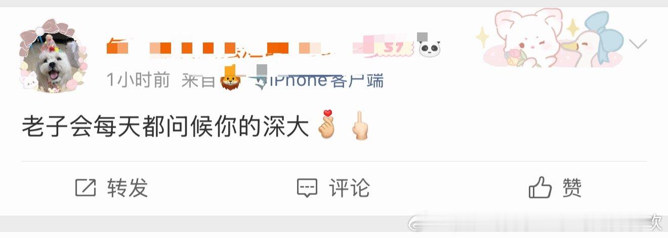 老子会每天都问候你们的莎头🐶🖕 