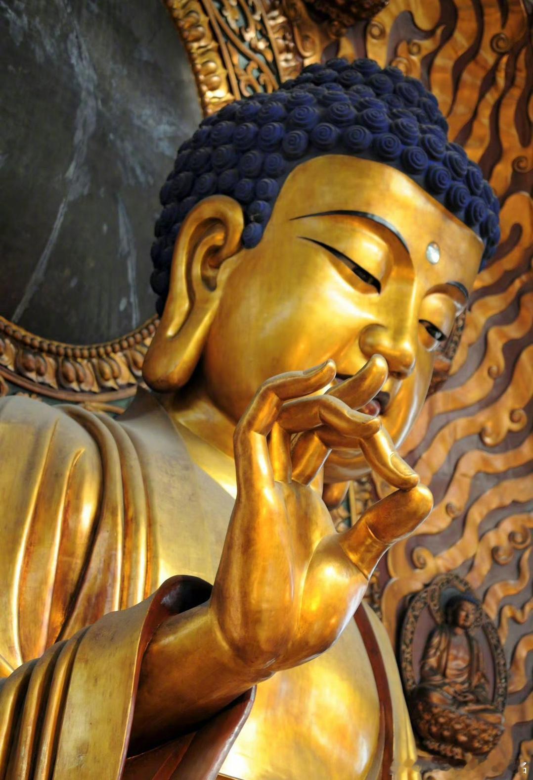 许个愿吧，祈愿2024一切都好起来 🙏 ​​​