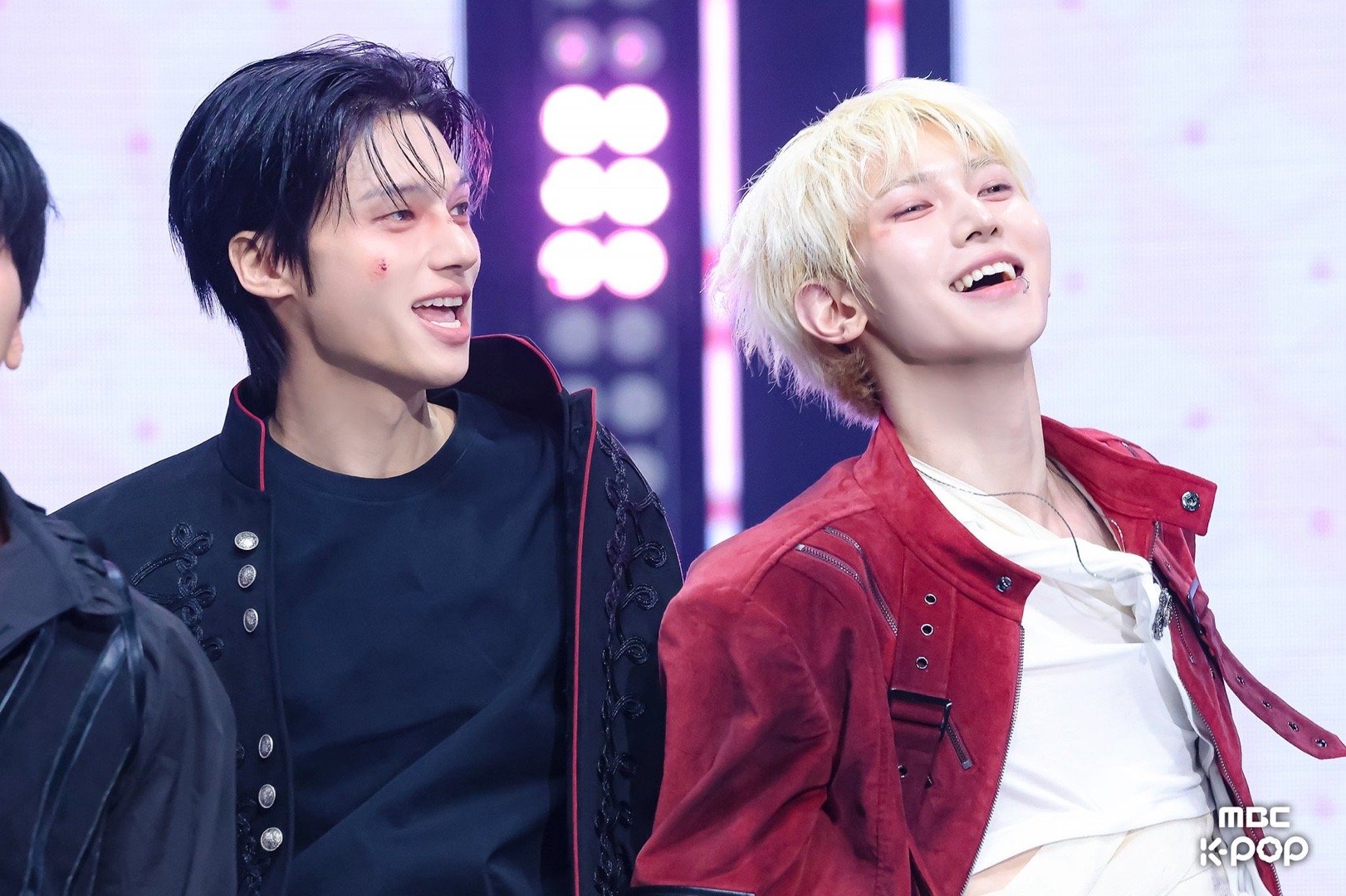 🐈⬛🐶🫳🏻🫳🏻 