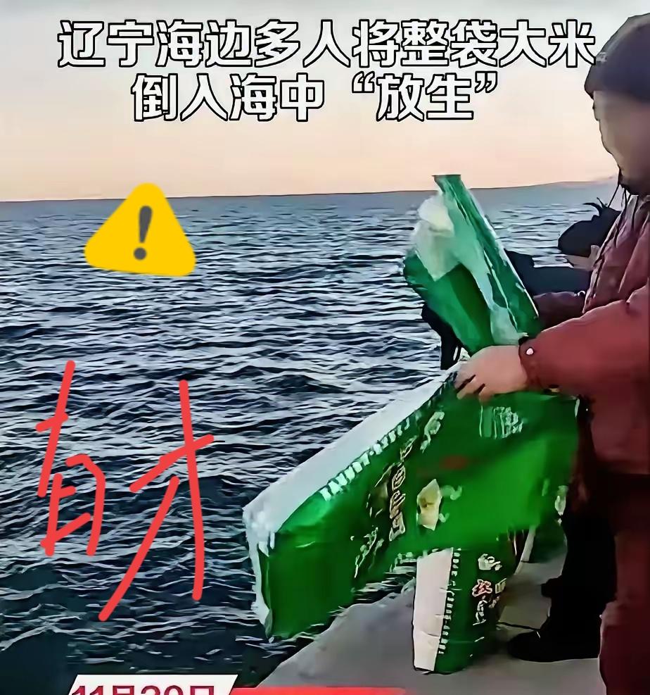 吃饱了撑的！
据报道，辽宁葫芦岛多人往海里倾倒大米，口中还念念有词。说是放生大米