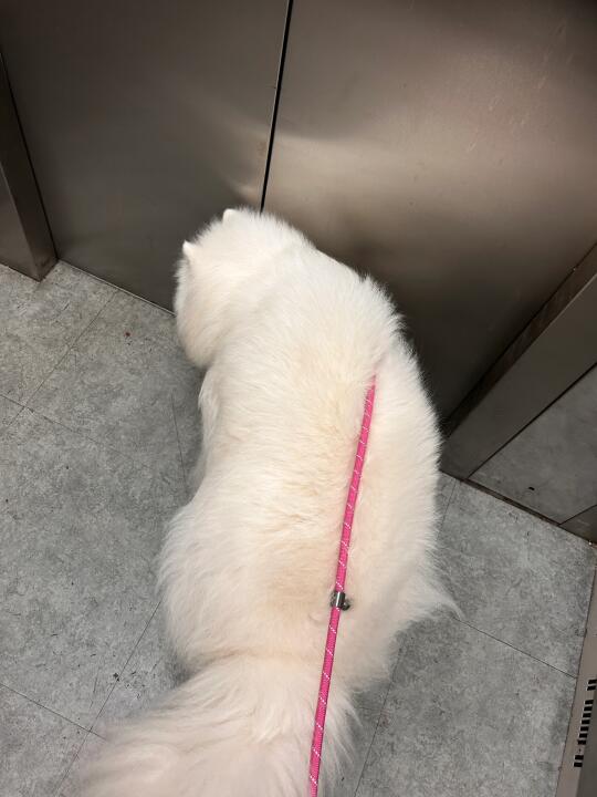 两个月不洗澡了耶