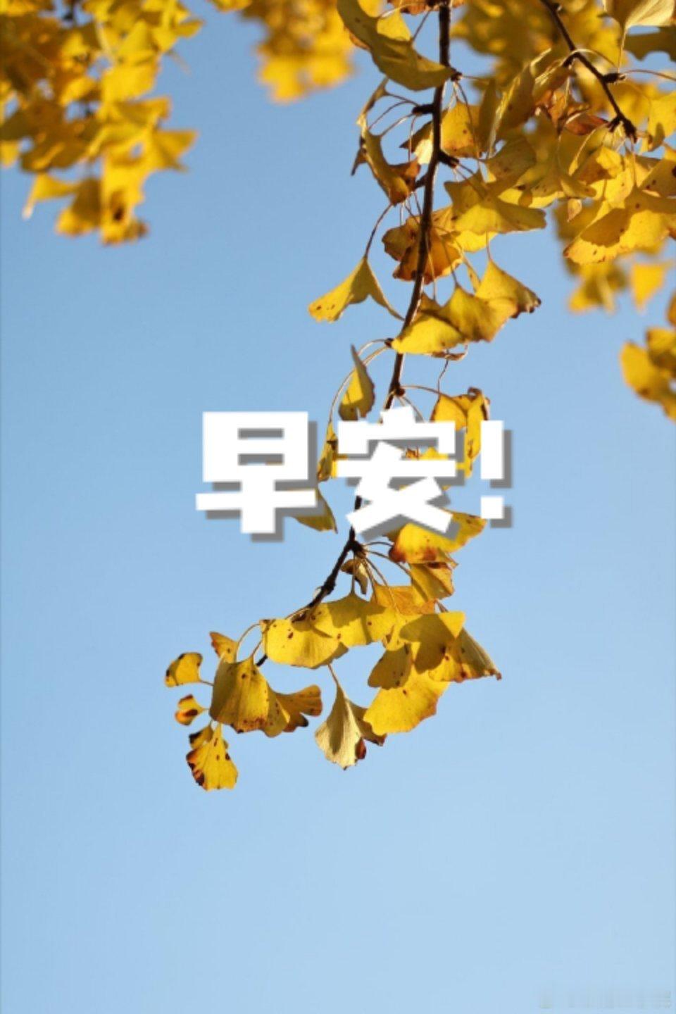 晨光正好，心向晴朗，新的一天，慢慢来，会好的。早安！