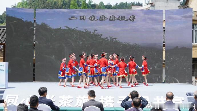 台州仙居一山茶香牵三市山海协作促共富 浙江。春染茶山，香飘三地。4月24日，台丽