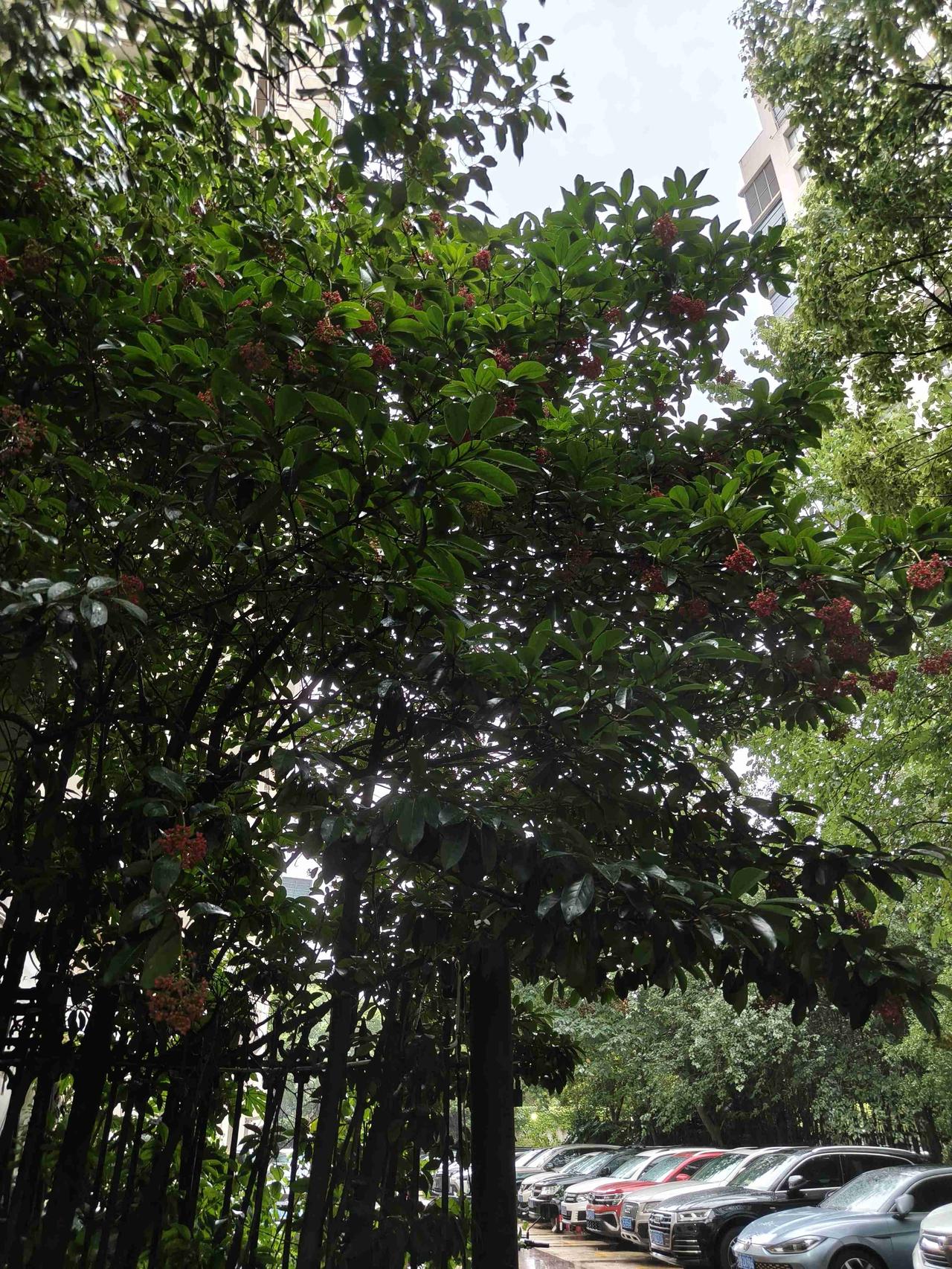 我的今日状态：😎自信酷炫
我这里的天气：🌧下雨