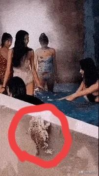 你瞅啥？[发怒]